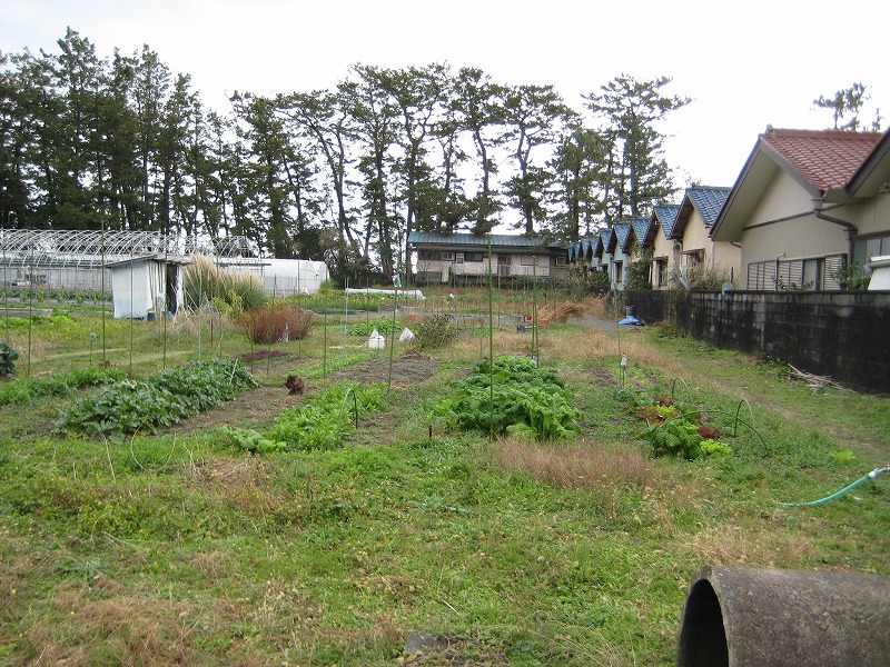 ご両親から相続をした土地の売却ができました。